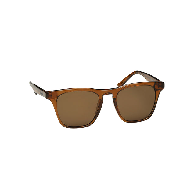 Fairhope Rootbeer Maho Shades