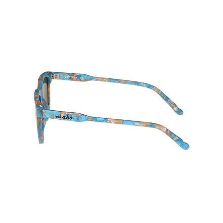 Buenos Aires Kingfisher