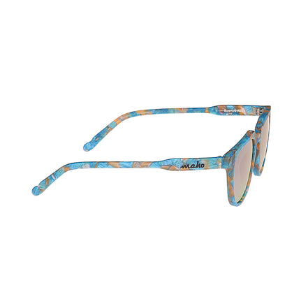 Buenos Aires Kingfisher